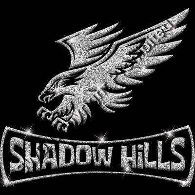 GLT94 SILVER GLITTER Thumbnail